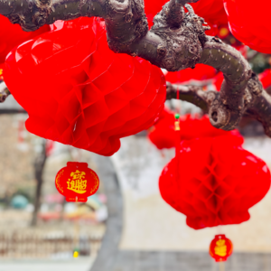 vol.011 影视民工走神 聊聊新年的12星座运势