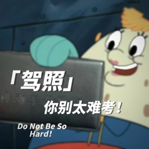 Vol.06|血泪驾照史,进来照镜子!