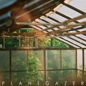 Plantgazer by Show Me A Dinosaur