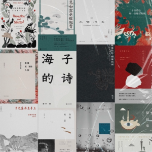 【001】也爱诗：我偏爱写诗的荒谬，胜过不写诗的荒谬