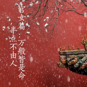 《甄嬛传》宫女篇：万般皆是命，半点不由人