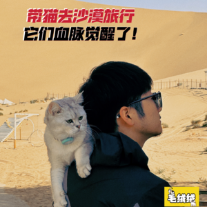 EP.06 |带猫去沙漠旅行，它们血脉觉醒了！
