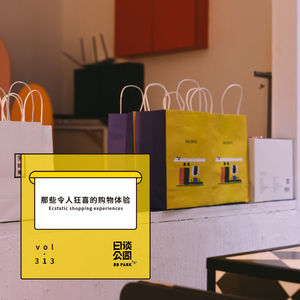 vol. 313 那些令人狂喜的购物体验