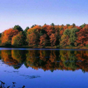 《雨中游瓦尔登湖》作者：何德伟  朗诵：文懿