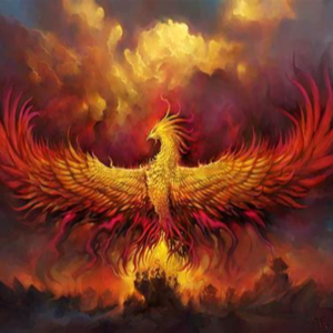 给冥王星落十一宫小伙伴的建议