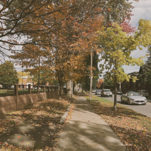 我身边的女性，热爱教育行业的终生学习者