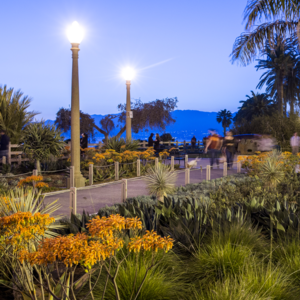 059 景观照明 植物的照明设计（2）