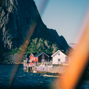 16. 幸福体验：其实脱轨与放任，是可以被承接的