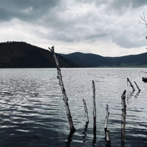 EP41｜由丧偶的老年宗教老师购买特殊服务引起的深夜话题