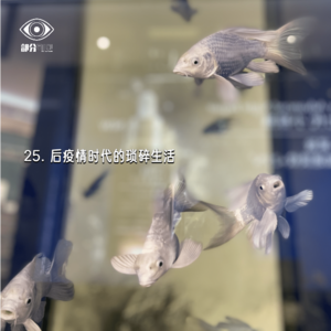 25. 细碎生活｜新鲜事一箩筐