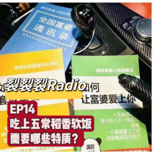 EP14 软饭，我只吃热乎儿的。论吃软饭需要哪些特质？