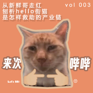 从新鲜哥走红 刨析hello街猫千万流水背后的如意算盘