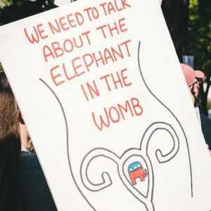 Vol.39 子宫里的大象：卫生巾、棉条刺客、经期健康...可去他大爷的月经羞耻吧！