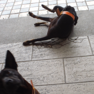 Occasional Gathering 001:面团Lover