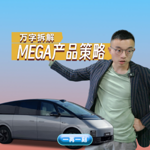 理想MEGA:成则证明理想，败则证明油箱
