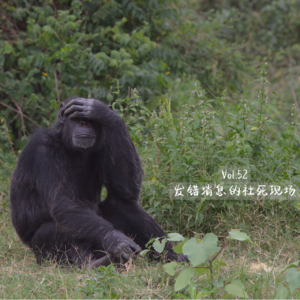 Vol.52 发错消息的社死现场