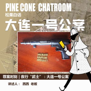 43.罪案时刻|夜间行凶的“武士”：大连一号公案