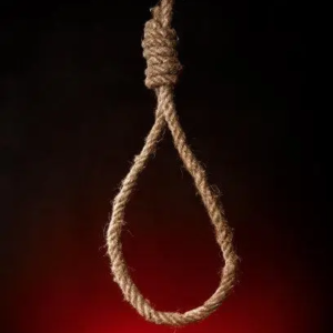 第273期：疯狂实验史：科学家为了寻找最好的绞刑方式能做出什么疯狂的事？