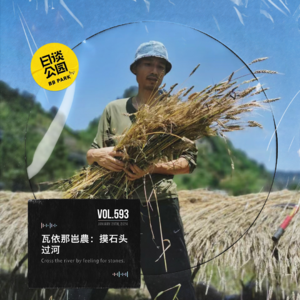 vol.593 瓦依那岜農：摸石头过河