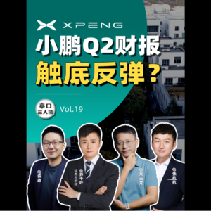 EP.19 小鹏下半年,均价才19万? 小鹏Q2财报解读,从坑里爬出来了么?