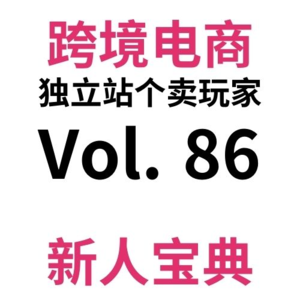 Vol86.长期主义个卖选品的唯一活法：垂直细分。手把手教你跨境电商独立站SEO第五期