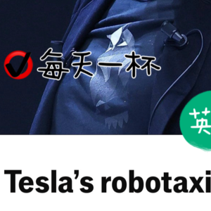 20241016 - Robotaxi会是特斯拉的王炸吗？