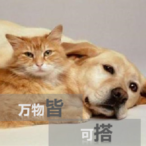 “搭子”是心灵治愈，还是实用主义？