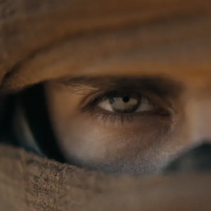 38. 如何如实观察事物的实相（含一个具体的小练习）