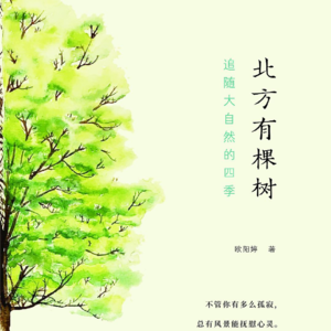 30. 读书9-北方有棵树