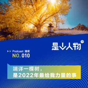 端详一棵树,是2022年最给我力量的事