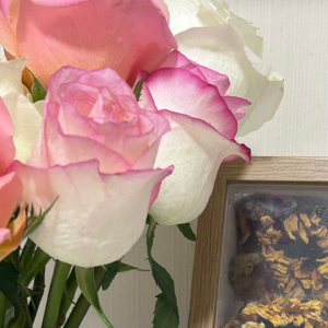 绵柔远飞轻弱低游 我们一起当睡神