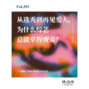 vol.293 从选秀到再见爱人，为什么综艺总能拿捏观众？