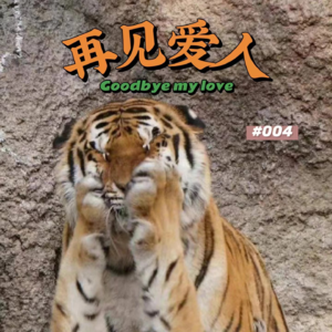 vol.004丨再见爱人，我的心已疲惫，只想逃脱伤痛的轮回。