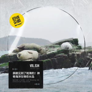 vol.534 亲眼见到了斑海豹！神奇海洋生物在长岛