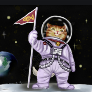 星舰的第三次全系统试验是成功还是失败