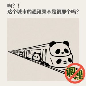 E49.啊？这个城市的通讯录不是很那个吗？！