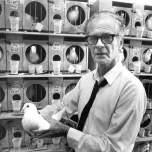 第259期：疯狂实验史：心理学家斯金纳如何让鸽子学会弹钢琴和为炸弹导向？