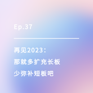 EP.37 | 再见2023：那就多扩充长板，少弥补短板吧