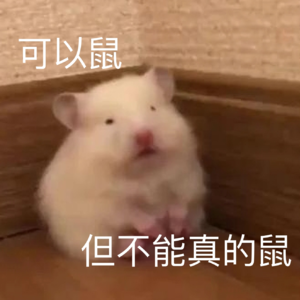 每天想死，但也不能真的死😇脆皮惜命打工人的高性价比体检加项攻略来了！