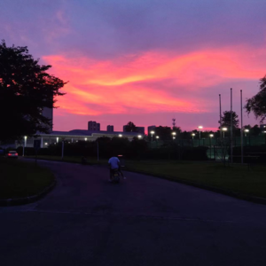 久不更新的日常生活,夏天快乐!七月快乐