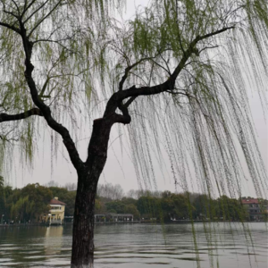 VOL63.波浪和大海本身就是无法分割的：一段长久的感情应该是肉体和精神同时被满足。