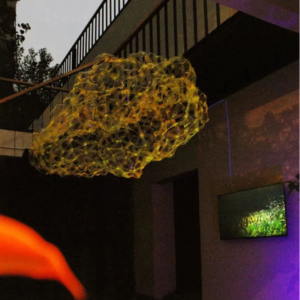 Vol.2 建筑师杜扬：魔法学院、地下室与崇高