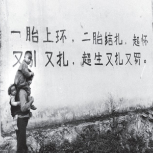 -074 你有你的（生育）计划，但世界（国家）另有计划