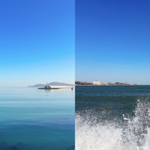 野鱼志 013 发起对话实验的三种方法