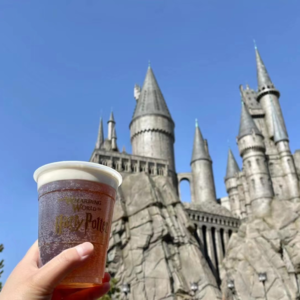 Ep06.投资一个gap year项目,做人生的体验派