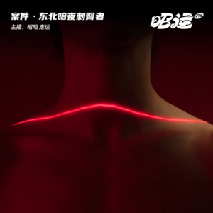 12·【连环案二】柳河县暗夜刺臀屠夫