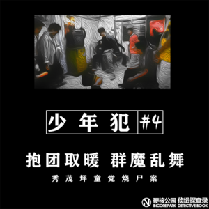 vol.29 少年犯（四） 报团取暖 群魔乱舞：秀茂坪童党烧尸案