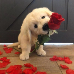 Vol.22 嘉宾来了丨现代人的相亲，一个不断烂尾的人生大项目