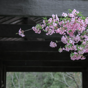 Vol.04 和冬天告别：是季节更替，是人生重启