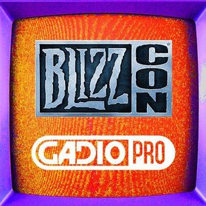 暴雪嘉年华后记